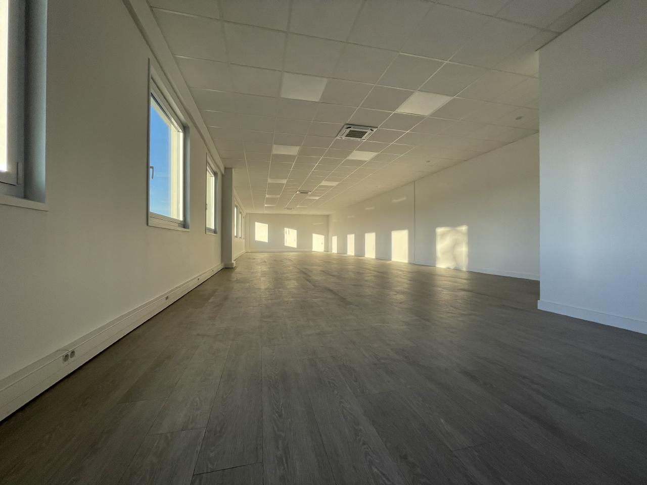 Local d'activité Saint-Quentin-Fallavier 3910m² Vente local d'activité Saint-Quentin-Fallavier Isère OVACT2311149 5